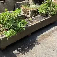 Long Stone Troughs