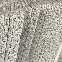 Flamed Golden 20mm Granite Flooring