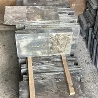 500 x 250 (Silver Face)