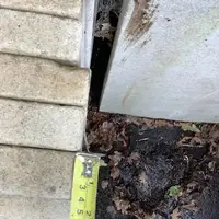 Pale Coping Stone