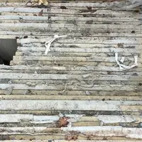 Cream Internal Stone