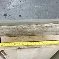 Pale Coping Stone