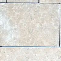 Moghara Limestone