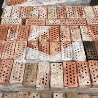 20 Holed Red bricks