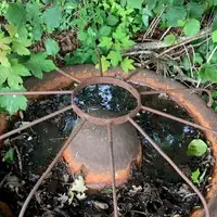 Cast Iron Pig Feeders