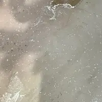 Cream Internal Stone