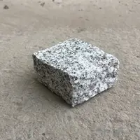 100 x 100 x 50